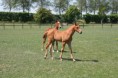 /album/menrit-04-06-2011/a06-04-2011-133-jpg/